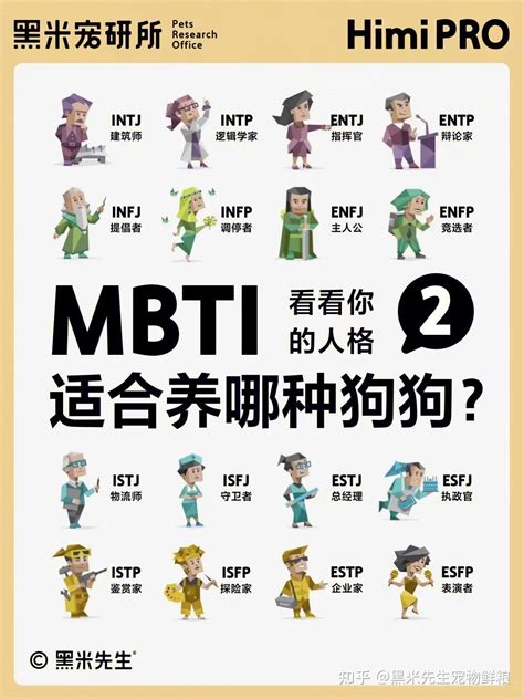 像兔子的人|不同 MBTI 性格的人分别像什么动物？